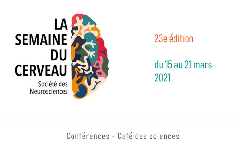 logo semaine du cerveau